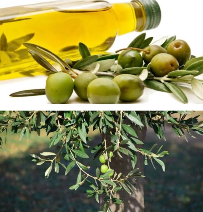 Screenshot_20220330-225028_Fotor